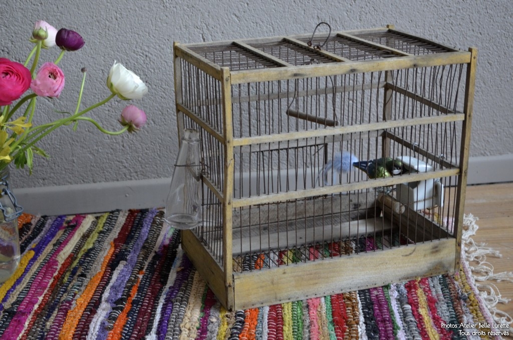 Petite cage à oiseaux Ancienne pour transport abreuvoir verre