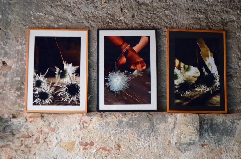 Photographie “En terrain miné” de Marina Krüger Photographie “En terrain miné” de Marina Krüger
