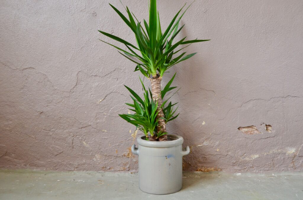 Pot en grès émaillé Pot en grès émaillé