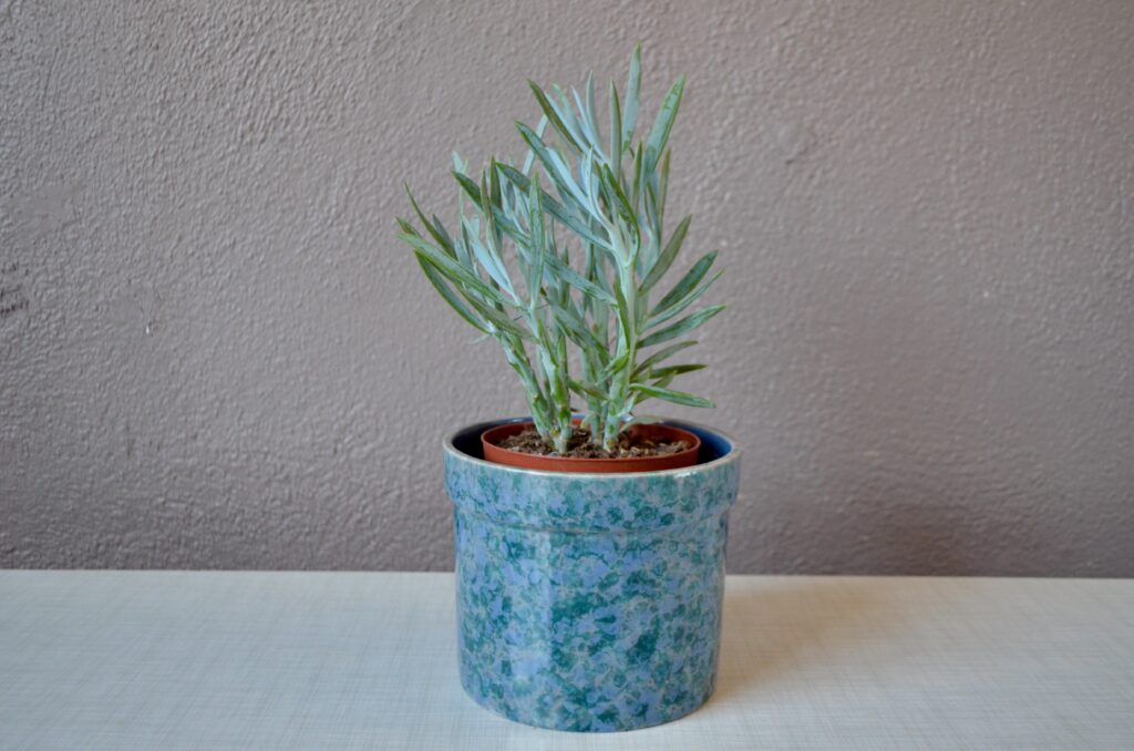 Cache-pot Niderviller Cache-pot Niderviller