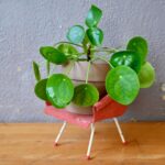 Fauteuil miniature midcentury design moderniste France 1950
