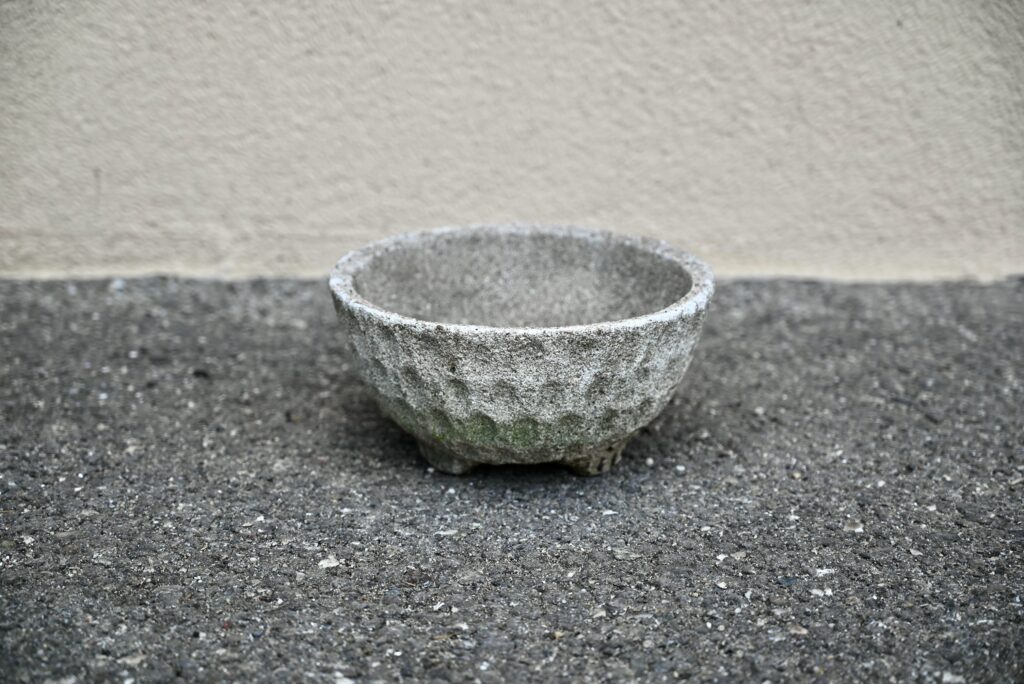 Petite Jardinière en béton Erigeron karvinskianus Petite Jardinière en béton Erigeron karvinskianus