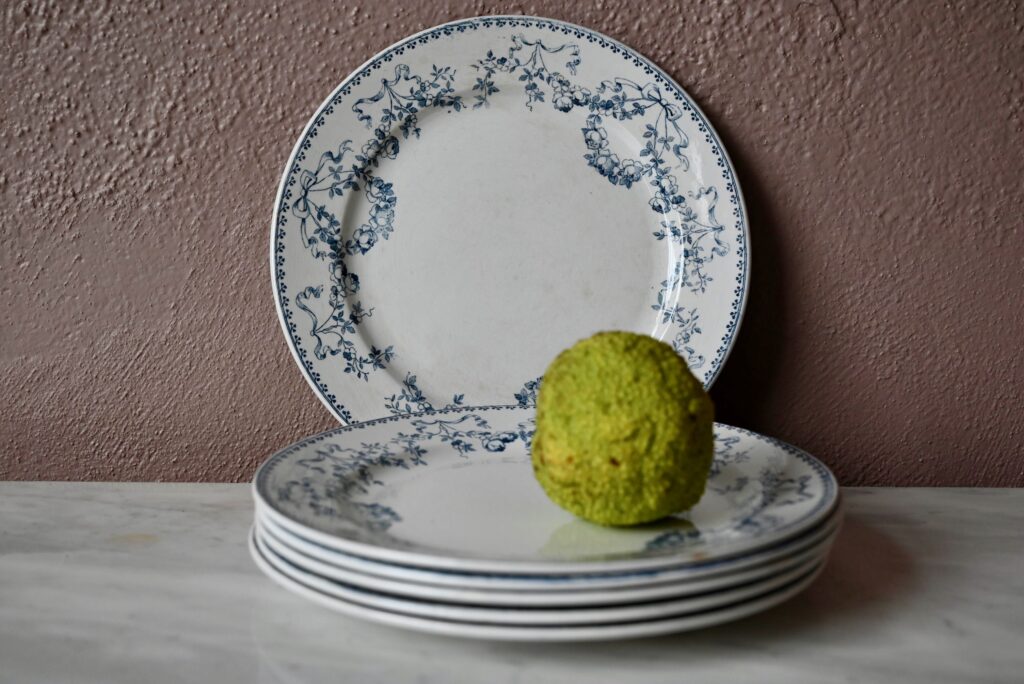6 assiettes plates Mozart U&C Sarreguemines 6 assiettes plates Mozart U&C Sarreguemines