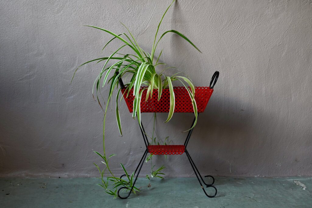 Porte-plantes Iggy Porte-plantes Iggy