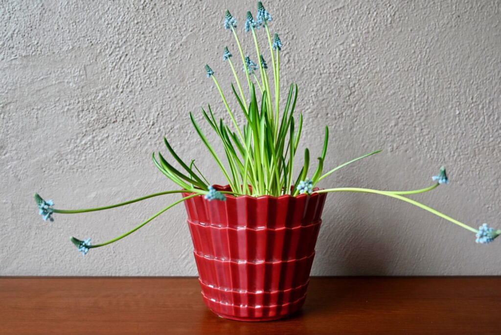 Cache-pot bordeaux Saint Clément, cache pot, cache pot accolay, cache pot ancien, cache pot art déco, cache pot bleu, grand cache pot, céramique accolay, accolay, potier d'accolay, déco céramique art déco, céramique saint clément, vase saint clément, céramique midcentury, cache pot céramique, cache pot rouge, cache pot vintage