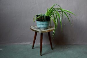 Guéridon Nika, guéridon années 60, guéridon minimaliste en bois, guéridon minimaliste en verre, guéridon pieds compas, guéridon vintage, guéridon vintage pieds compas, guéridon vintage sixties, guéridon vintage moderniste, guéridon vintage années 60, guéridon porte plantes, guéridon porte-revues vintage années 60, porte plante tripode, porte plante vintage, porte plantes sixties, design japonais, japon