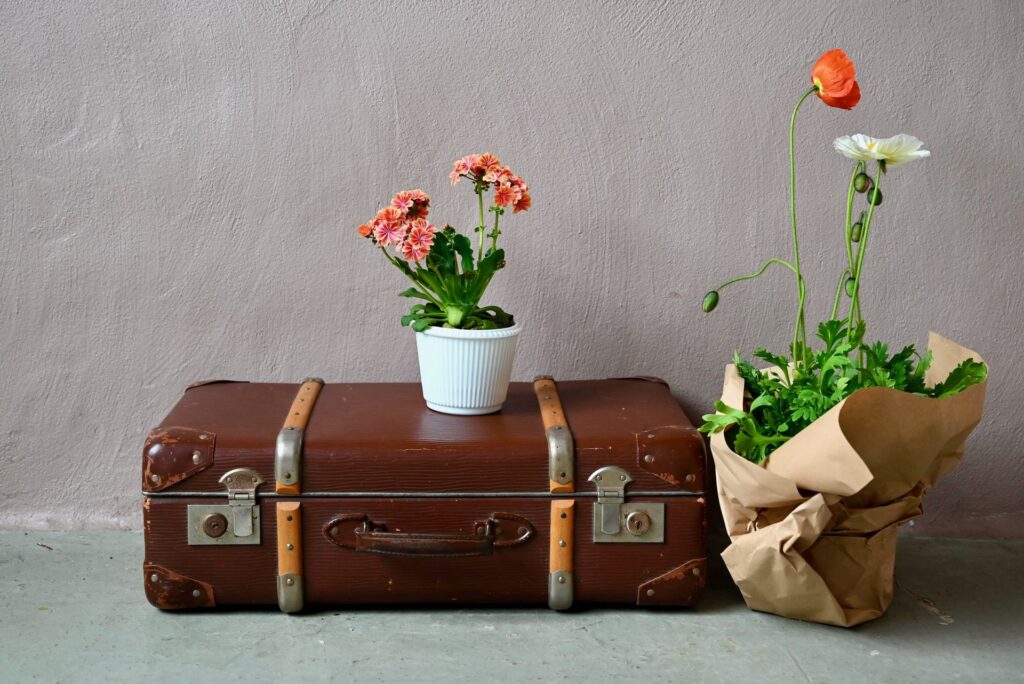 Valise ancienne Florence, Valise Vintage, valise ancienne, valise, valise cabine ancienne, valise des années 1900, bois et cuir, bois et métal, boite en carton vintage, ancienne malle de voyage, malle à jouets rétro, valise bohème années 1920, déco bohème, déco bohème rétro, déco bonhème